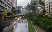 Chuva forte derruba árvore na avenida 9 de Julho