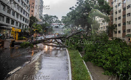 Chuva forte derruba árvore na avenida 9 de Julho
