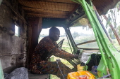 Timber exploitation in Nigeria's Kwara State