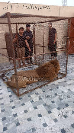 Men, who take care of the pet lion in a cage, stand, after a lion was confiscated during a raid, by the Wildlife department, against the owners of the pet lions, in Lahore