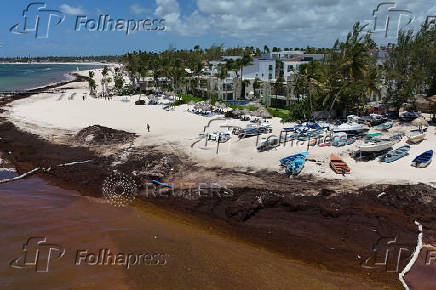 Sargassum seaweed blankets beaches in the Dominican Republic