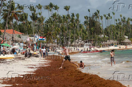 Sargassum seaweed blankets beaches in the Dominican Republic