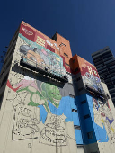 Grafite em execução no Elevado Presidente João Goulart