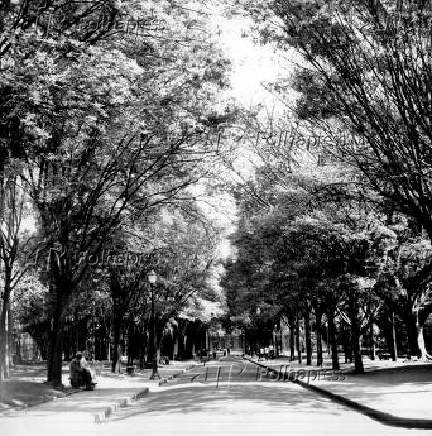 Vista do Jardim da Luz