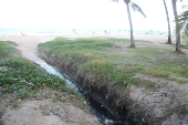 Água de chuva desce na praia com esgoto