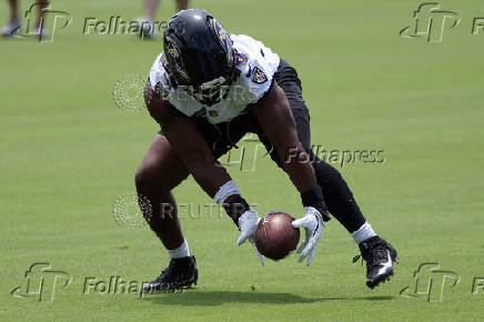 NFL: Baltimore Ravens Minicamp