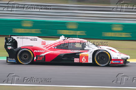 FIA WORLD ENDURANCE CHAMPIONSHIP - TREINO LIVRE 3