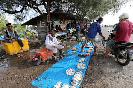Daily life of fishermen in a traditional fishing port