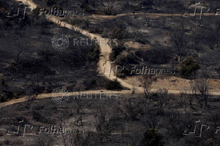 Wildfire burns houses, factories forcing evacuations near Patras