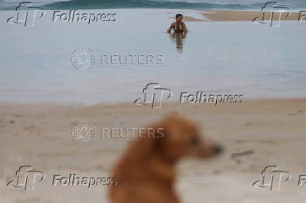 A woman looks at her dog while she enjoys during the World Oceans Day, at Sao Conrado beach in Rio de Janeiro