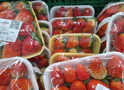 Preço do Morango dispara sos supermercados