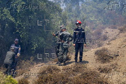 Wildfires break out in Morocco