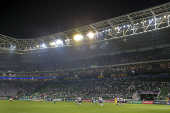 Palmeiras X Botafogo-SP