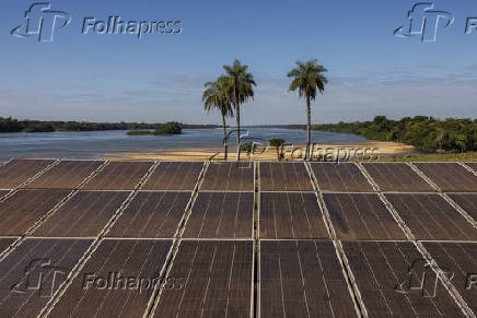 Especial Sustentabilidade - Folhapress