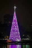 Inauguração da árvore de Natal do parque Ibirapuera