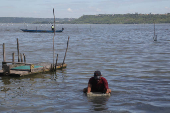 Contaminação por mercúrio na Lagoa Mundaú