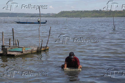 Contaminação por mercúrio na Lagoa Mundaú