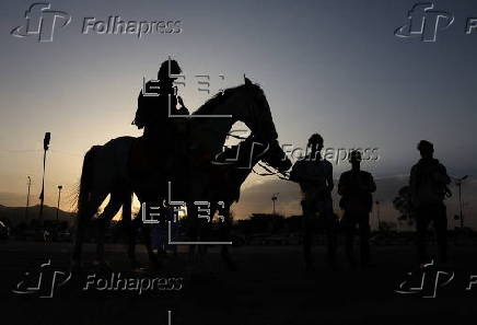 Horse riding in Sana'a