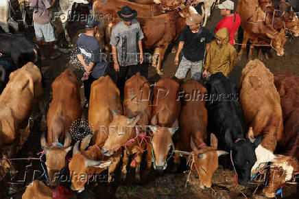 Traders sell their cows at a cattle market, ahead of the Muslim festival of sacrifice, Eid al-Adha, in Bogor