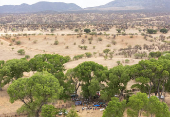 Binational border happening to celebrate beauty and biodiversity of San Rafael Valley