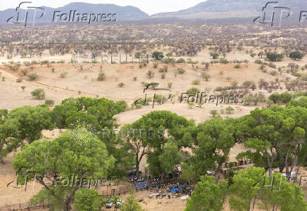 Binational border happening to celebrate beauty and biodiversity of San Rafael Valley