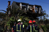 Aftermath of a wildfire in Casarrubios del Monte
