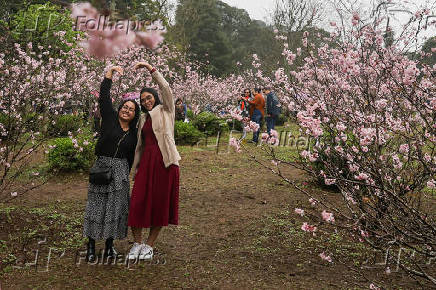 Primeiro dia da 45ª edição da Festa das Cerejeiras