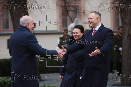 Visegrad Group Head of States Summit in Hungary