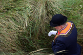 A member of the Orange Order pictured following a march along the beach in Rossnowlagh in County Donegal