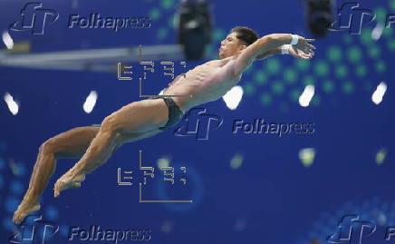 World Aquatics Championships Singapore 2025 - Day 19