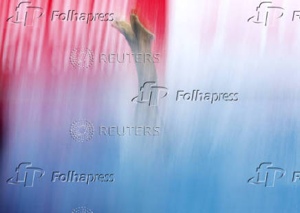 World Aquatics Championships