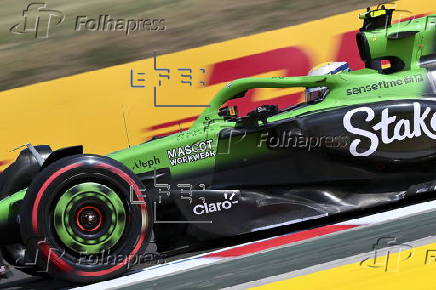 Formula One Hungarian Grand Prix - Practice and Qualifying