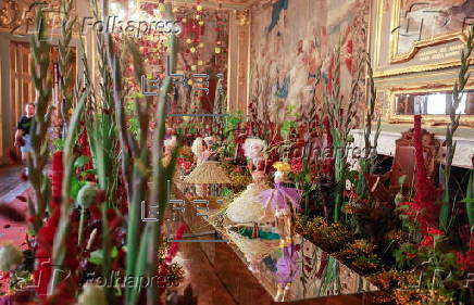 Flowertime 2025 in Brussels