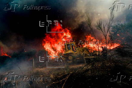 Forest fire at Fornos de Algodres