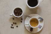 BARISTA BELGA
