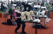 Pet Expo 2025 in Bucharest