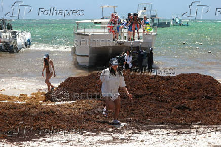 Sargassum seaweed blankets beaches in the Dominican Republic