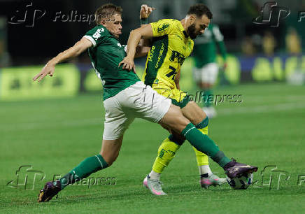 Campeonato Brasileiro Série A - Palmeiras e Mirassol