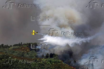 Forest fire in Portugal
