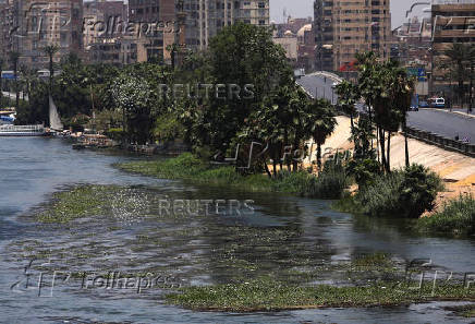 A general view of a new bridge on the bank of River Nile in front of crowded residential buildings, in Cairo