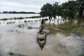 At least five killed in landslide amid heavy rains in Assam, India