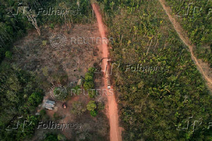 Illegal loggers are key players in carbon credit schemes in Brazil