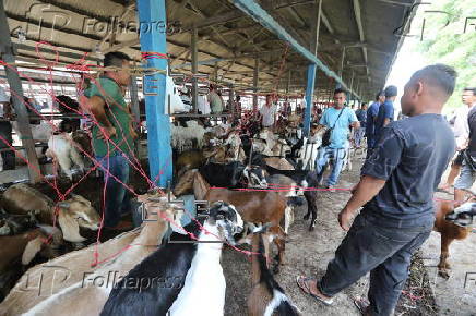 Eid al-Adha preparations in Aceh