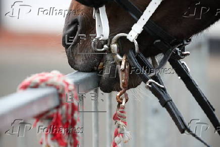 The Appleby Horse Fair in Appleby-in-Westmorland