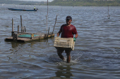 Contaminação por mercúrio na Lagoa Mundaú