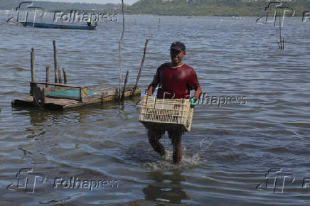 Contaminação por mercúrio na Lagoa Mundaú
