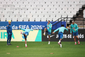 BRASIL, TREINO