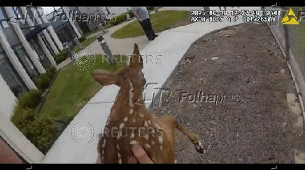 Fawn caught on camera trying to break into Coweta County jail, in Georgia