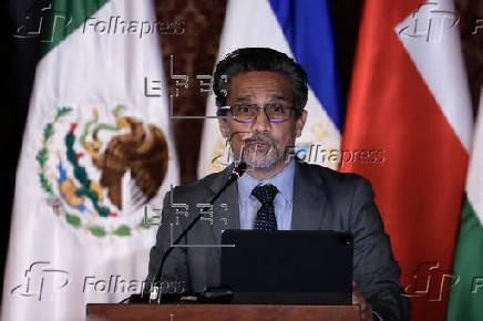 Cumbre ministerial de emergencia del Grupo de La Haya en Bogotá