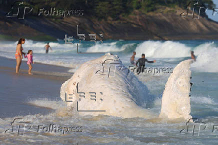 Encuentran ballena jorobada muerta en playa de Rio de Janeiro